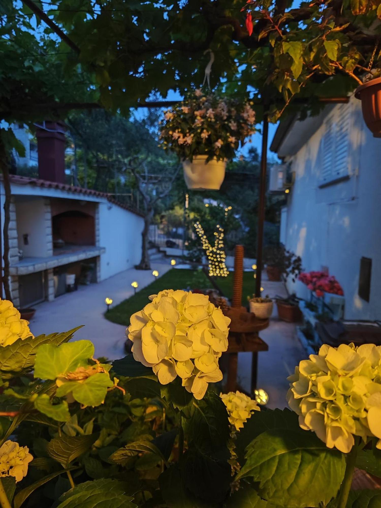 Apartmani Andela Kordic Supetarska Draga Extérieur photo