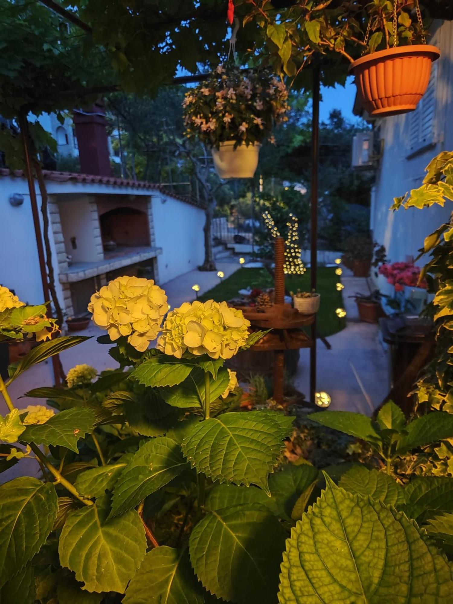 Apartmani Andela Kordic Supetarska Draga Extérieur photo